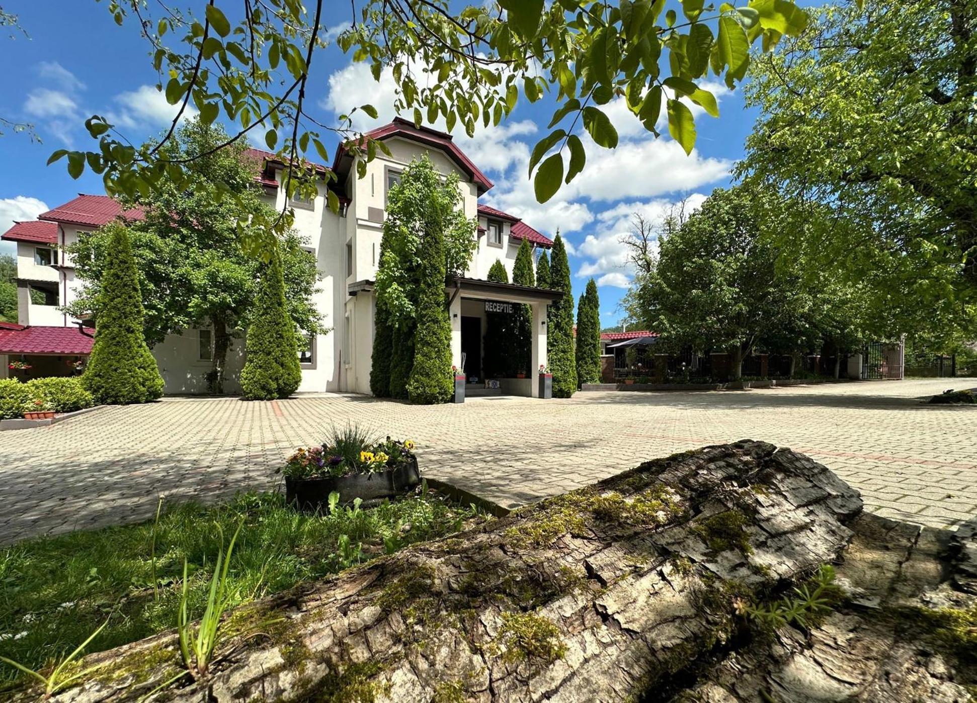 Vila Roca Hotel&SPA Valea Drăganului Exterior foto