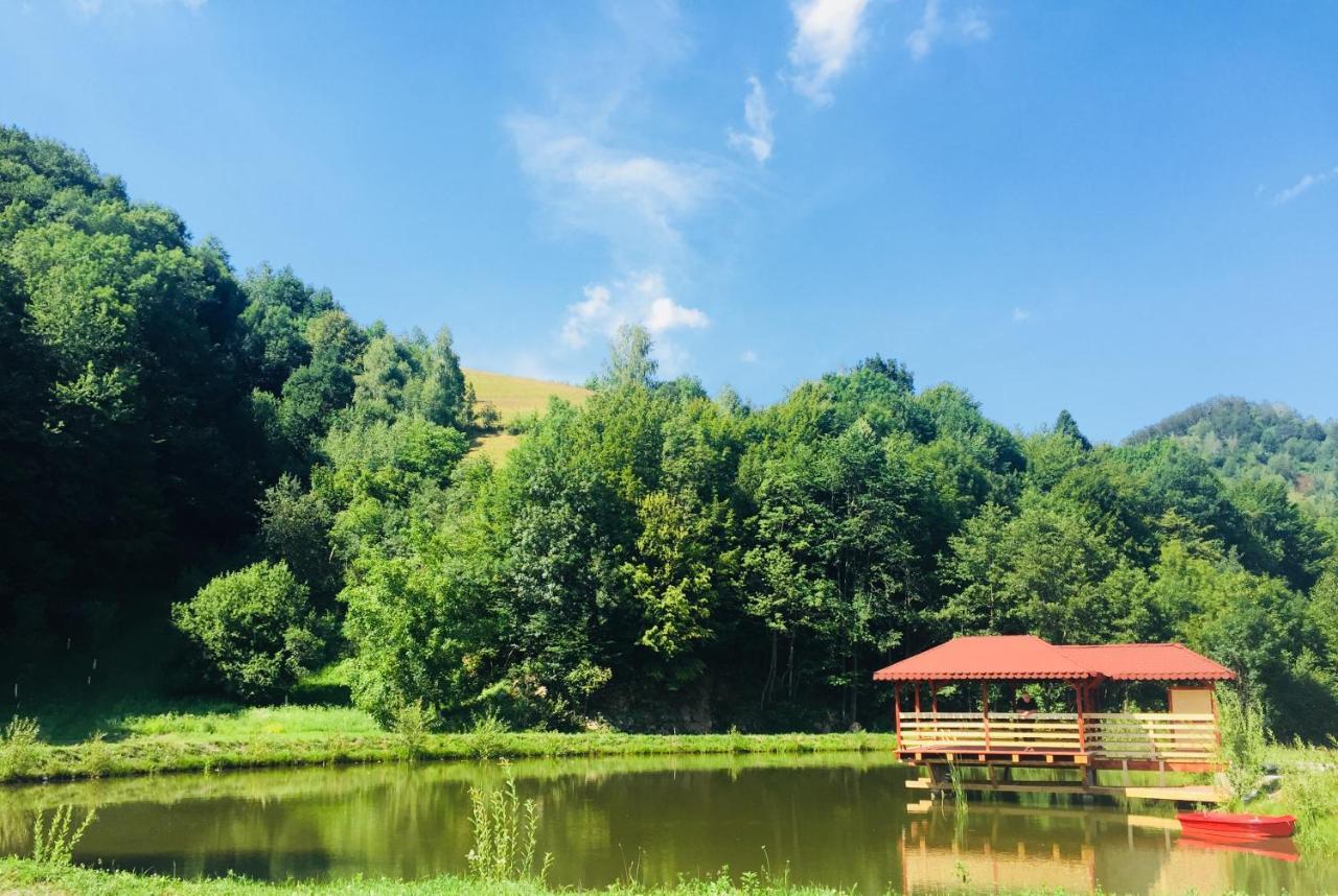Vila Roca Hotel&SPA Valea Drăganului Exterior foto